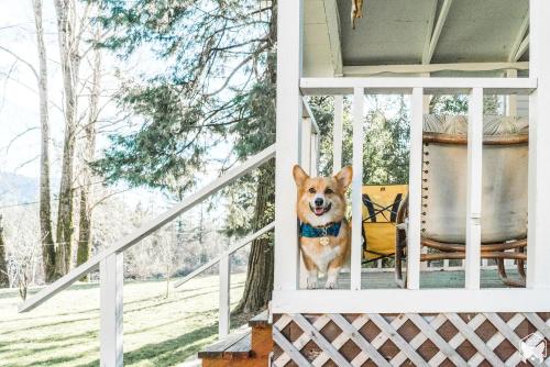 Spectacular Riverside Getaway Cabin with Claw Foot Bathtub in Castella, California in Dunsmuir