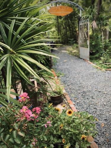 Bến Tre Homestay - 주변 환경