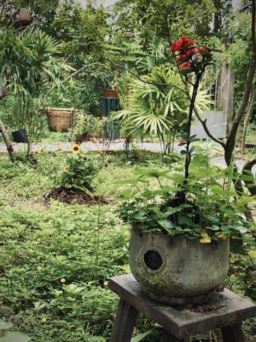 Bến Tre Homestay - 주변 환경