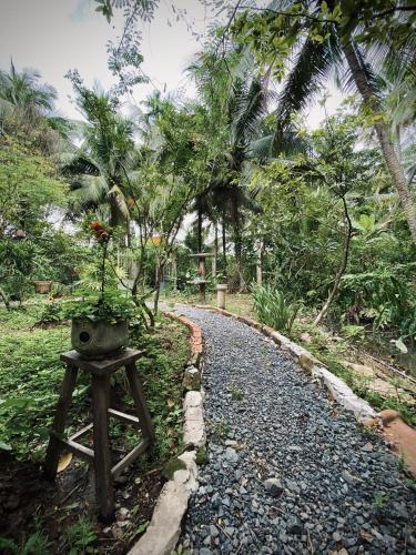Bến Tre Homestay - 주변 환경
