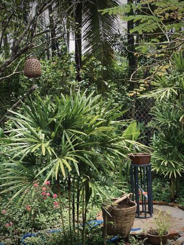 Bến Tre Homestay - 주변 환경