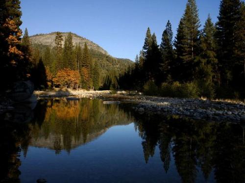 Cozy Riverside Cabin Rental with Easy Access to Chilnualna Falls in California in Wawona (CA)