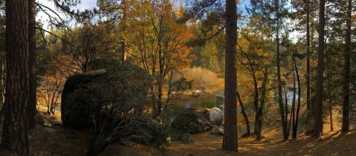 Cozy Riverside Cabin Rental with Easy Access to Chilnualna Falls in California in Wawona (CA)