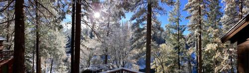 Cozy Riverside Cabin Rental with Easy Access to Chilnualna Falls in California in Wawona (CA)