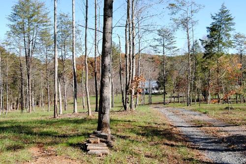 Remodeled Cabin Rental Built in 1790 near Scottsville, Virginia in Scottsville (VA)