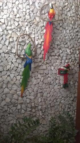 Pousada Pura Vida – Maceio, SD