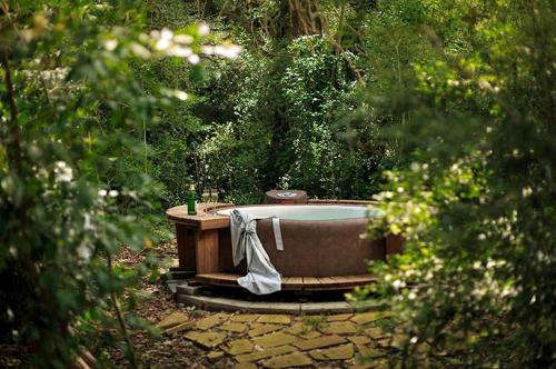 Pezsgőfürdő, Secluded Cabin Rental with Jacuzzi for Romantic Weekend Getaway near Austin, Texas in New Ulm
