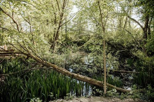 Incredible Nature Camp Ideal for Groups or Big Family Retreats in Germany in 奧德拉特
