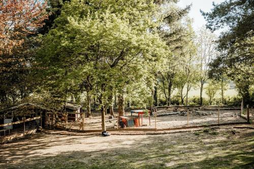 Incredible Nature Camp Ideal for Groups or Big Family Retreats in Germany in 奧德拉特