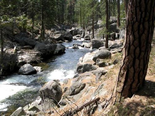 Exceptional Riverside Cabin Rental in the Trees near Pinecrest Lake, California in Pinecrest (CA)