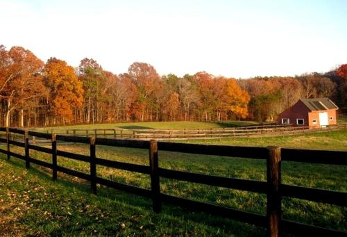 Classic Cottage Rental on Huge Horse and Cattle Farm near Charlottesville in กอร์ดอนวิลล์ (VA)