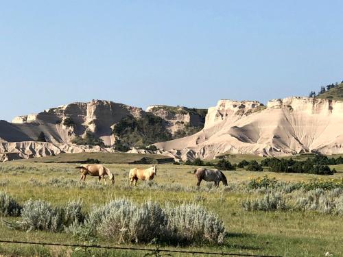 Cozy Cottage Rental for Six on a Working Ranch in Crawford, Nebraska in เชดรอน (เนแบรสกา)