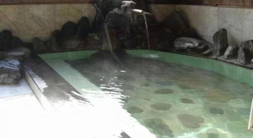 Kinugawa Niouson Plaza Hotel