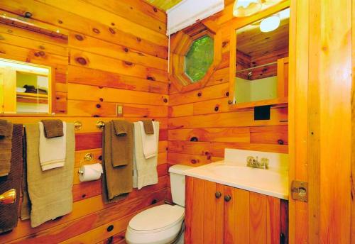Cozy Vacation Cabin near Allegheny State Forest, Pennsylvania in Penfield (PA)