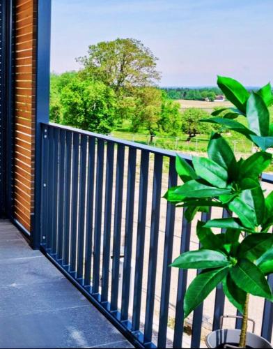 A környék, Exklusive Panorama-Ferienwohnung für bis zu 6 Personen in Bad Aibling (Exklusive Panorama-Ferienwohnung fur bis zu 6 Personen in Bad Aibling) in Bad Aibling