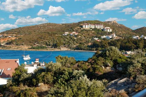 Beyaz Konak Evleri - main image