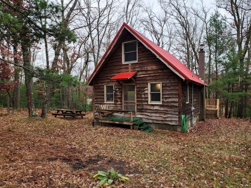Secluded Luxury Cabin with Hot Tub on 10 Private Acres near Trails in Reed City, Michigan, Idlewild