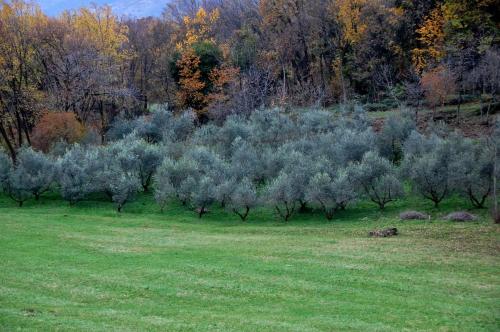 Albergo Rurale Parco di San Floriano