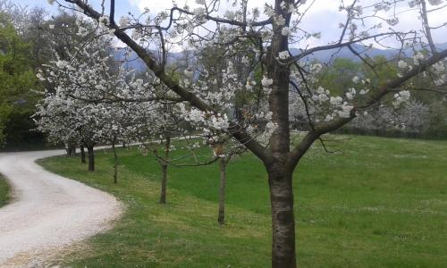 

Parco di San Floriano