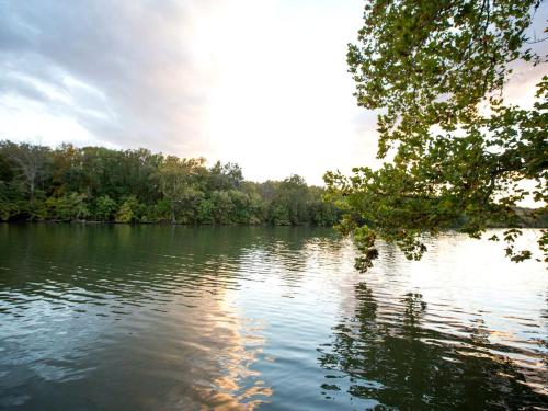 Breathtaking Cottage Rental on 100 Acres on the Shenandoah River, Virginia in Front Royal (VA)