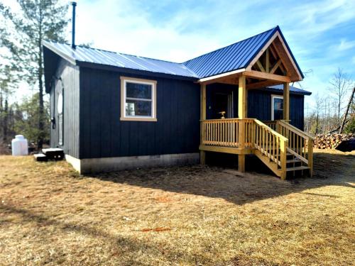 Secluded Rustic Cabin with Hot Tub Near Pere Marquette River in Big Rapids, Michigan in Luther (MI)