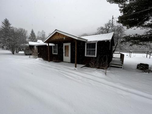 Homey Pet-Friendly Cabin Rental for Groups in the Catskills in 尚達肯 (NY)