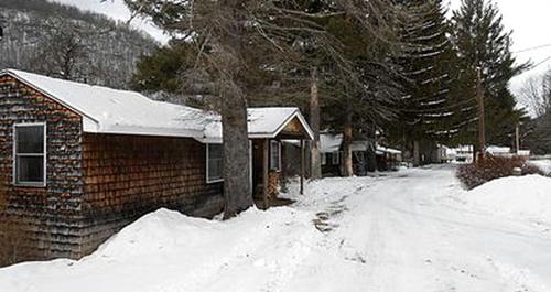 Homey Pet-Friendly Cabin Rental for Groups in the Catskills in 尚達肯 (NY)