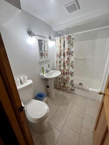 Homey Pet-Friendly Cabin Rental for Groups in the Catskills in 尚達肯 (NY)