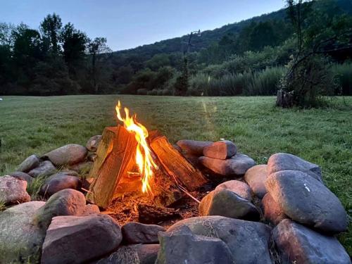 Homey Pet-Friendly Cabin Rental for Groups in the Catskills in 尚達肯 (NY)