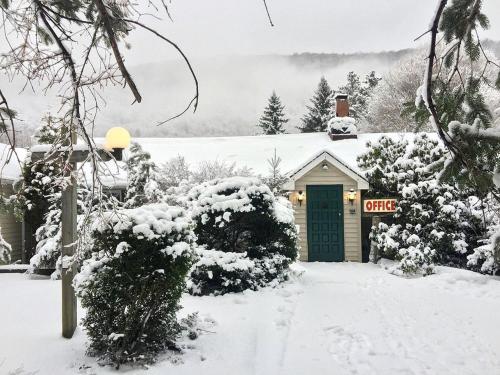 Homey Pet-Friendly Cabin Rental for Groups in the Catskills in 尚達肯 (NY)