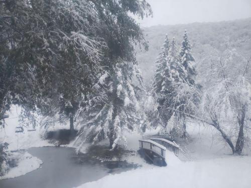 Homey Pet-Friendly Cabin Rental for Groups in the Catskills in 尚達肯 (NY)