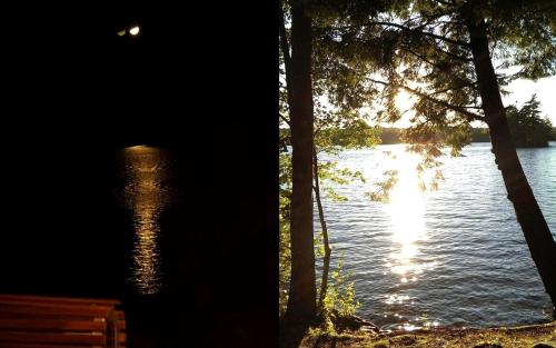 Unique Cottage Rental with Sublime Views Nestled on Damariscotta Lake in Maine in Jefferson (ME)