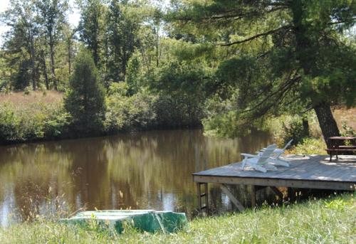 Two-Bedroom, One Bathroom Cottage on 250-Acre Cattle Farm for Getaway near Richmond, Virginia in Scottsville (VA)