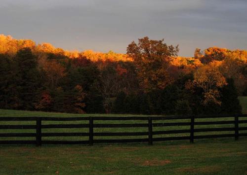 Two-Bedroom, One Bathroom Cottage on 250-Acre Cattle Farm for Getaway near Richmond, Virginia in Scottsville (VA)