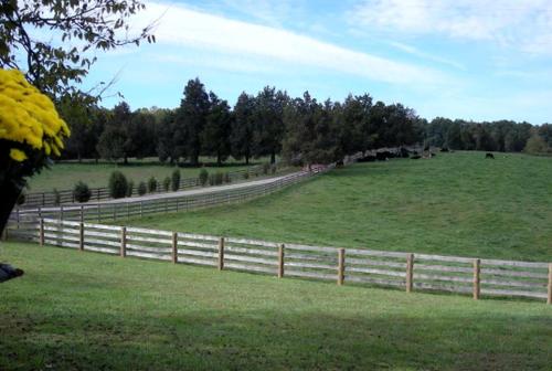 Two-Bedroom, One Bathroom Cottage on 250-Acre Cattle Farm for Getaway near Richmond, Virginia in Scottsville (VA)