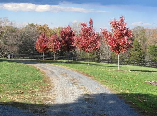 Two-Bedroom, One Bathroom Cottage on 250-Acre Cattle Farm for Getaway near Richmond, Virginia in Scottsville (VA)