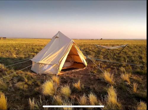 Remote Bell Tent with Spectacular Landscapes in Arizona in 佛羅倫斯 (AZ)