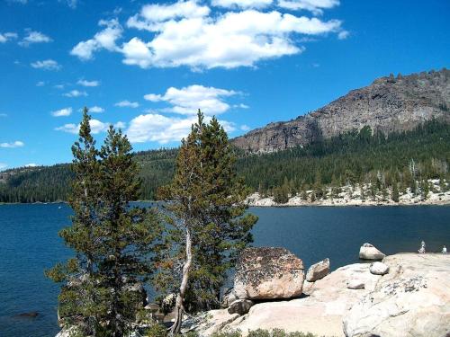 Gorgeous Cabin Rental with Spacious Furnished Deck in Pioneer, California in Pioneer (CA)