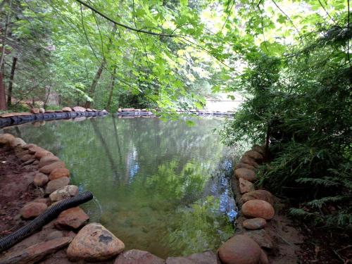 Gorgeous Cabin Rental with Spacious Furnished Deck in Pioneer, California in Pioneer (CA)