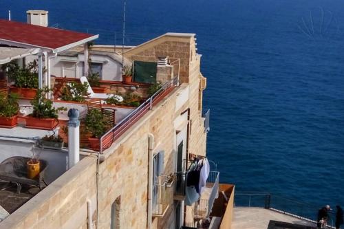 Surrounding environment, Dolci emozioni in Murat