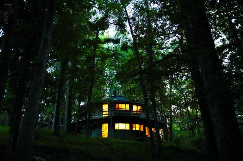 Spacious Round Tree House Ideal for a Remote Escape in North Carolina · Stem