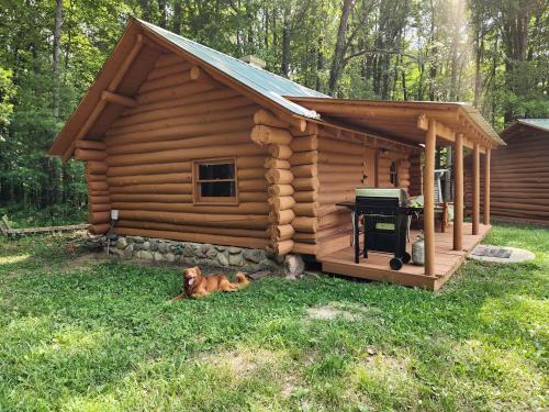 Secluded Rustic Cabins with Private Pond & Trails near ORV Routes in White Cloud, Michigan, Ramona