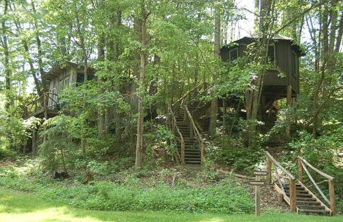Tree Top Cabin in Crumpler, North Carolina, Crumpler
