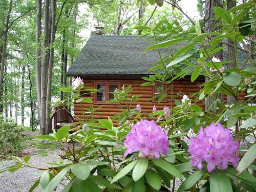 Idyllic Waterfront Log Cabin in Wayne County Overlooking Lake Wallenpaupack, Pennsylvania in Lakeville (PA)