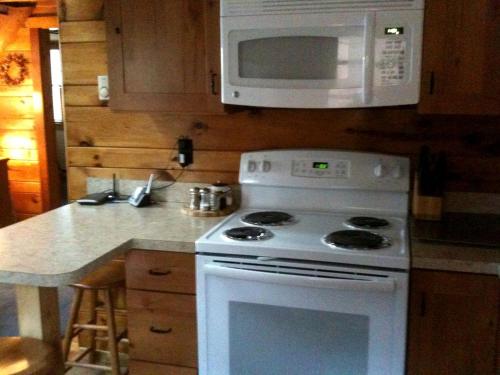Idyllic Waterfront Log Cabin in Wayne County Overlooking Lake Wallenpaupack, Pennsylvania in Lakeville (PA)