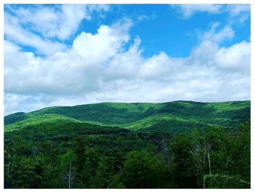 Piebald Mountain Pet Friendly Tents, Petersburg, New York in Cold Spring