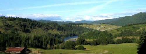 Secluded Cabin Ideal for a Romantic Getaway in the Umpqua River Valley of Oregon in Rice Hill (OR)