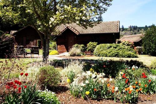 Secluded Cabin Ideal for a Romantic Getaway in the Umpqua River Valley of Oregon in Rice Hill (OR)