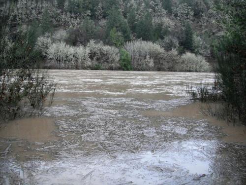 Secluded Cabin Ideal for a Romantic Getaway in the Umpqua River Valley of Oregon in Rice Hill (OR)