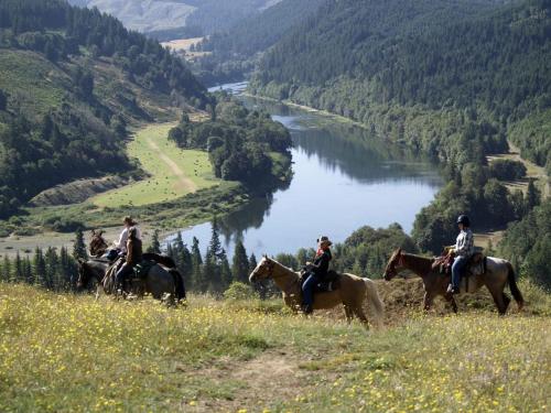 Secluded Cabin Ideal for a Romantic Getaway in the Umpqua River Valley of Oregon in Rice Hill (OR)